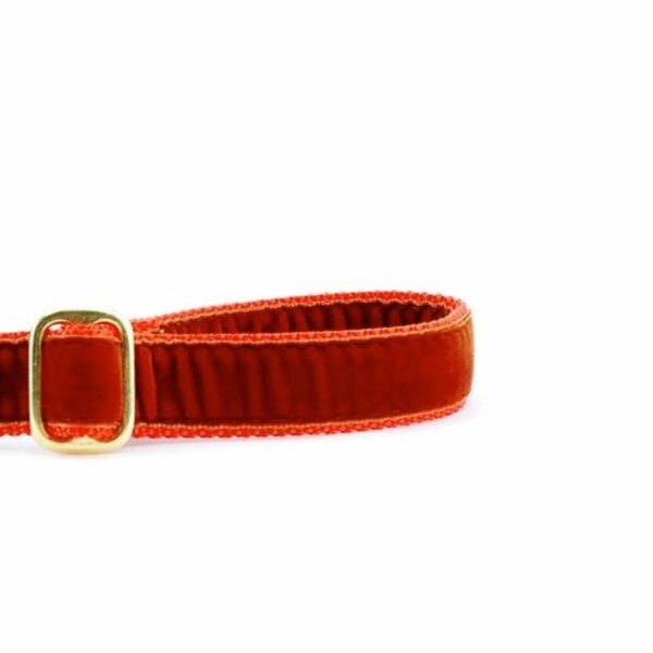 Rust Velvet Dog Leash (1″ Only) 2 Hounds Design