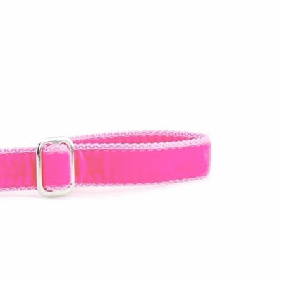 Shocking Pink Velvet Dog Leash 2 Hounds Design