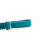 Teal Velvet Dog Leash 2 Hounds Design