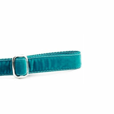 Teal Velvet Dog Leash 2 Hounds Design