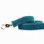 Teal Velvet Dog Leash 2 Hounds Design