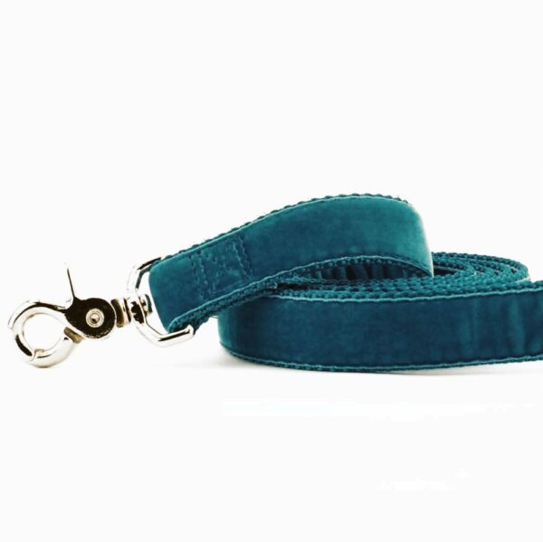 Teal Velvet Dog Leash 2 Hounds Design