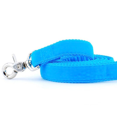 Turquoise Velvet Dog Leash 2 Hounds Design