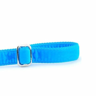 Turquoise Velvet Dog Leash 2 Hounds Design