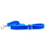 Venetian Blue Velvet Dog Leash 2 Hounds Design