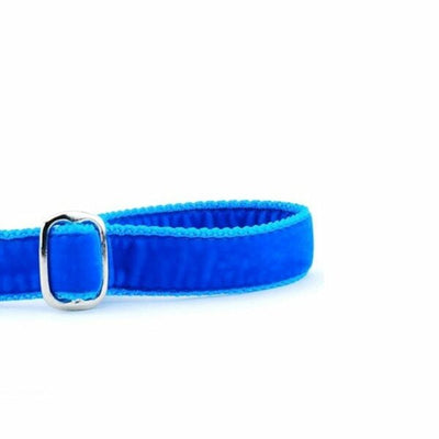 Venetian Blue Velvet Dog Leash 2 Hounds Design