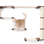The Climb Condo - Cat Wall Climbing System English Chestnut Bamboo Natural Canvas None Cat Condo Catastrophic Creations