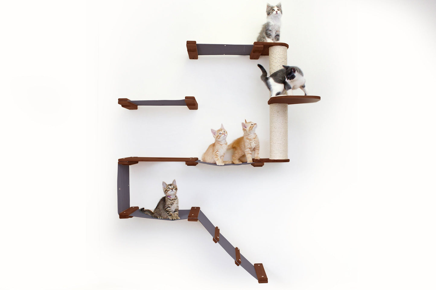The Deluxe Cat Fort - Modern Cat Condo Cat Condo Catastrophic Creations