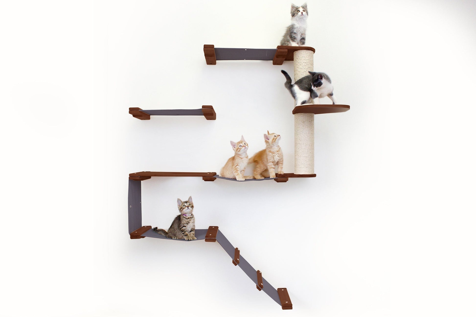 The Deluxe Cat Fort - Modern Cat Condo Cat Condo Catastrophic Creations