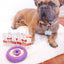 Freez Doughnut - Super Durable Treat Toy Freezbone