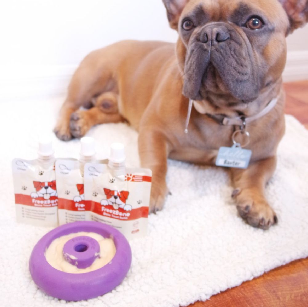 Freez Doughnut - Super Durable Treat Toy Freezbone