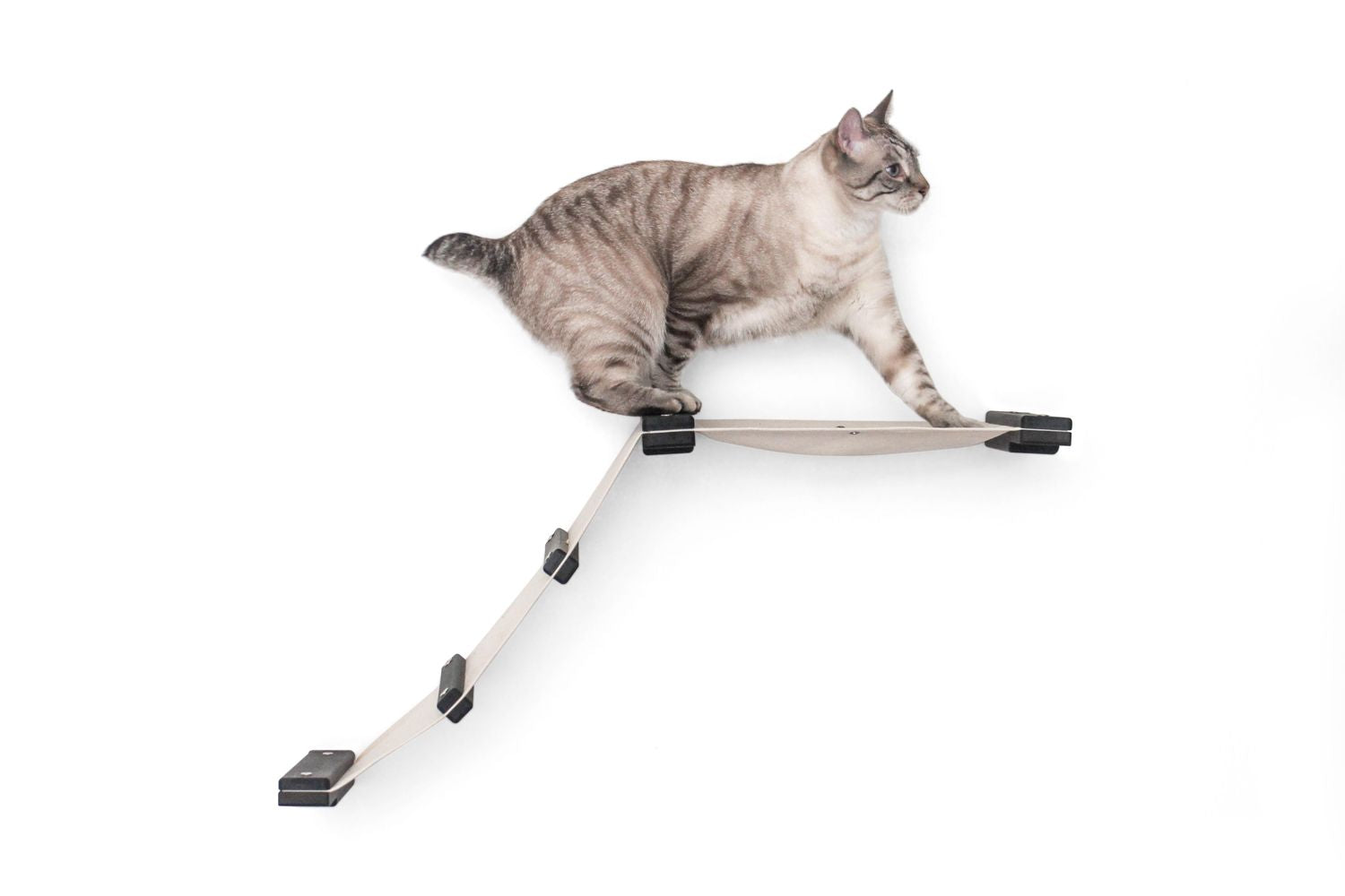 The Lift- Cat Hammock Bed Onyx Bamboo Natural Canvas Cat Hammock Catastrophic Creations