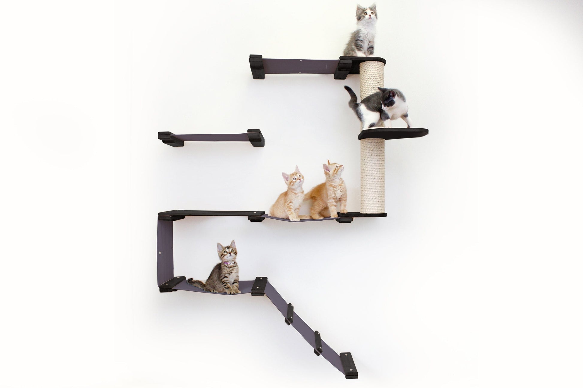 The Deluxe Cat Fort - Modern Cat Condo Cat Condo Catastrophic Creations