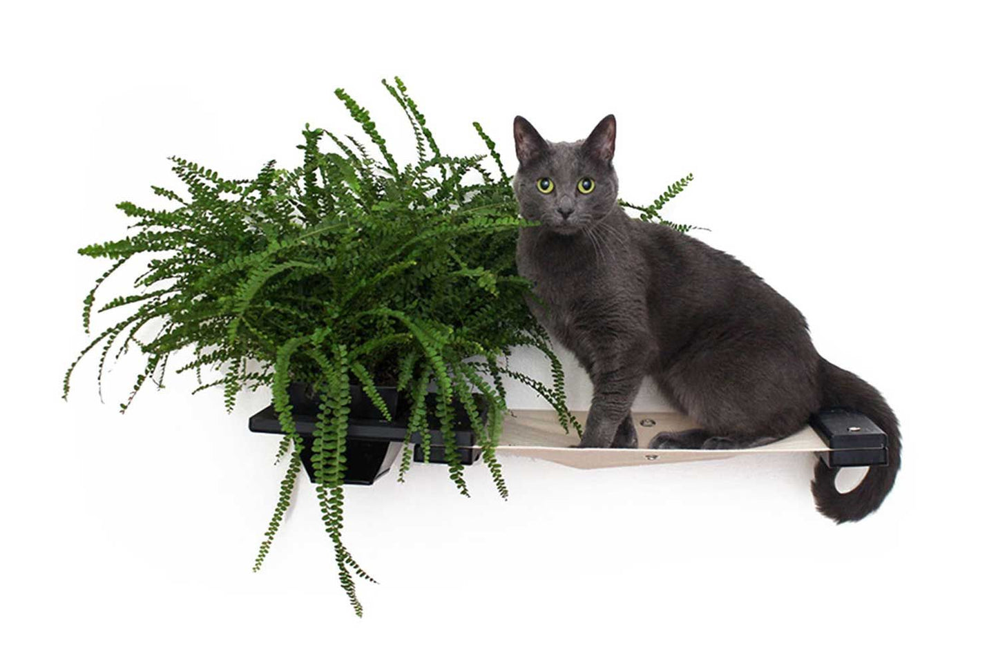 Cat Hammock Wall with Planter Onyx Bamboo Natural Canvas 16" Cat Hammock Catastrophic Creations