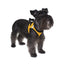 York Mesh Dog Harness Dog Harnesses Dogline