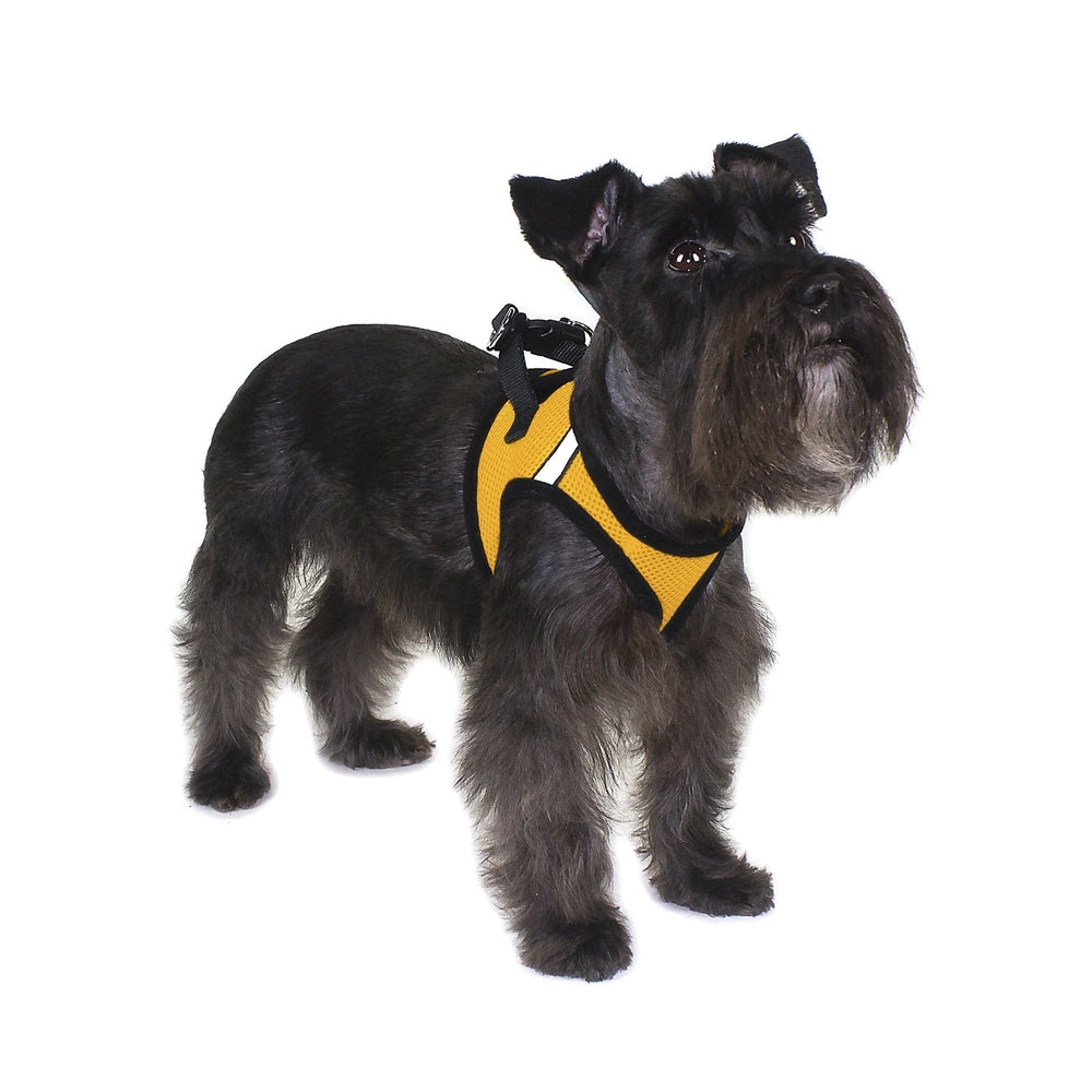 York Mesh Dog Harness Dog Harnesses Dogline