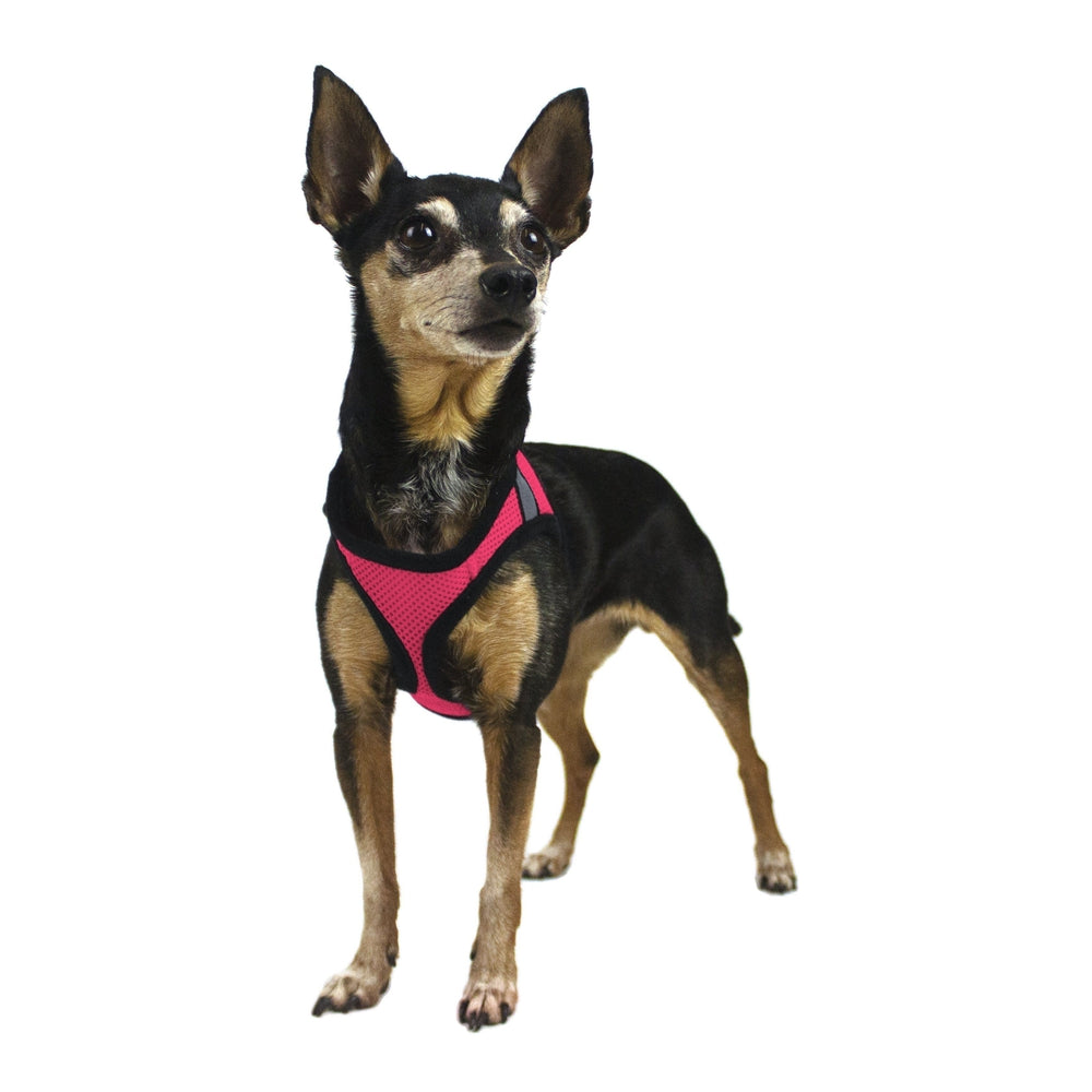 York Mesh Dog Harness Dog Harnesses Dogline