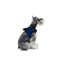 York Mesh Dog Harness Dog Harnesses Dogline