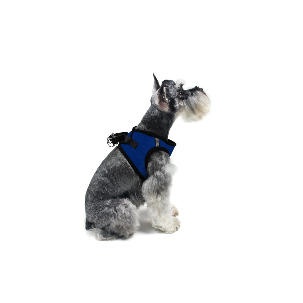 York Mesh Dog Harness Dog Harnesses Dogline