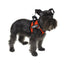 York Mesh Harness + Built-in Hook & Loop Fasteners Dog Harnesses Dogline