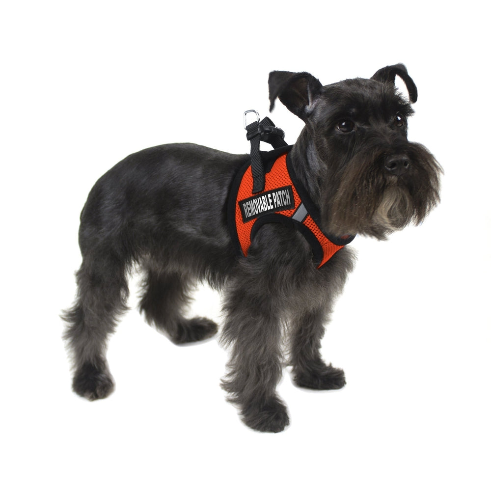 York Mesh Harness + Built-in Hook & Loop Fasteners Dog Harnesses Dogline