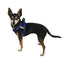 York Mesh Harness + Built-in Hook & Loop Fasteners Dog Harnesses Dogline