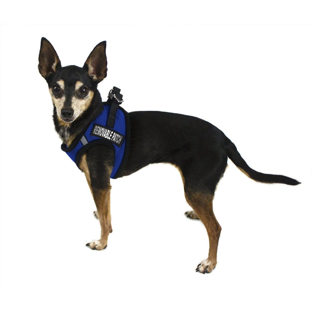 York Mesh Harness + Built-in Hook & Loop Fasteners Dog Harnesses Dogline