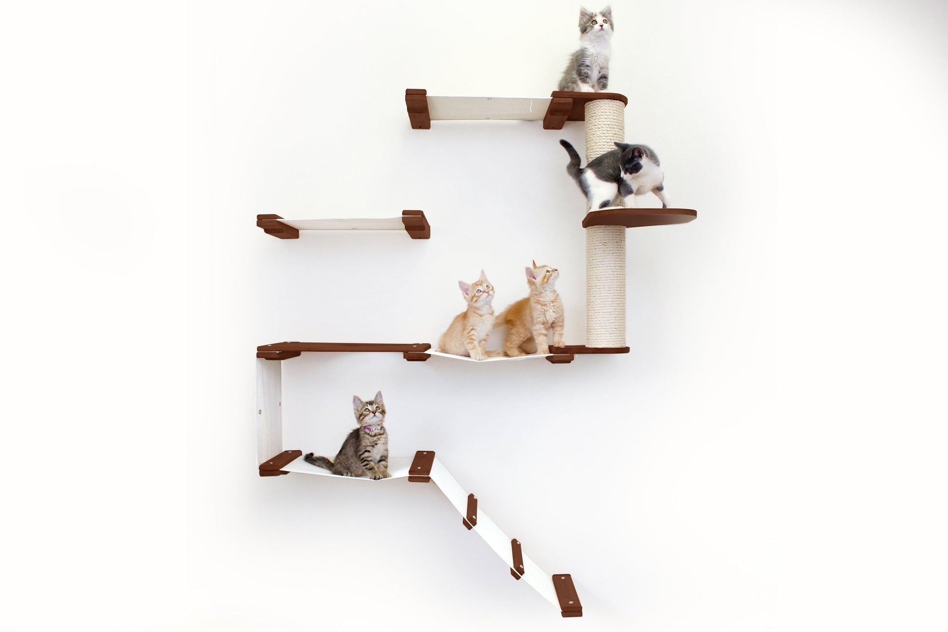 The Deluxe Cat Fort - Modern Cat Condo Natural Bamboo Natural Canvas None Cat Condo Catastrophic Creations