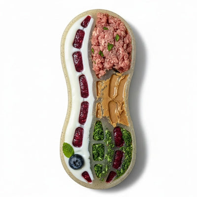 Peanut Nylon Dog Chew Toy | Ultra-Durable for Aggressive Chewers | SodaPup Nylon Dog Toys SodaPup/True Dogs, LLC