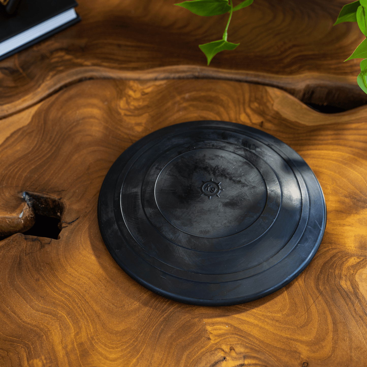 Aero Disc Monster K9 Dog Toys