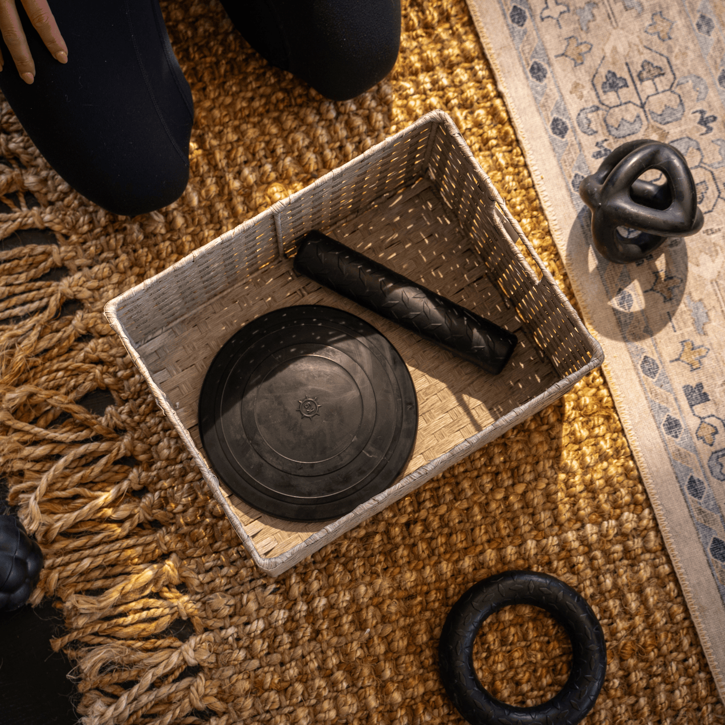 Aero Disc Monster K9 Dog Toys