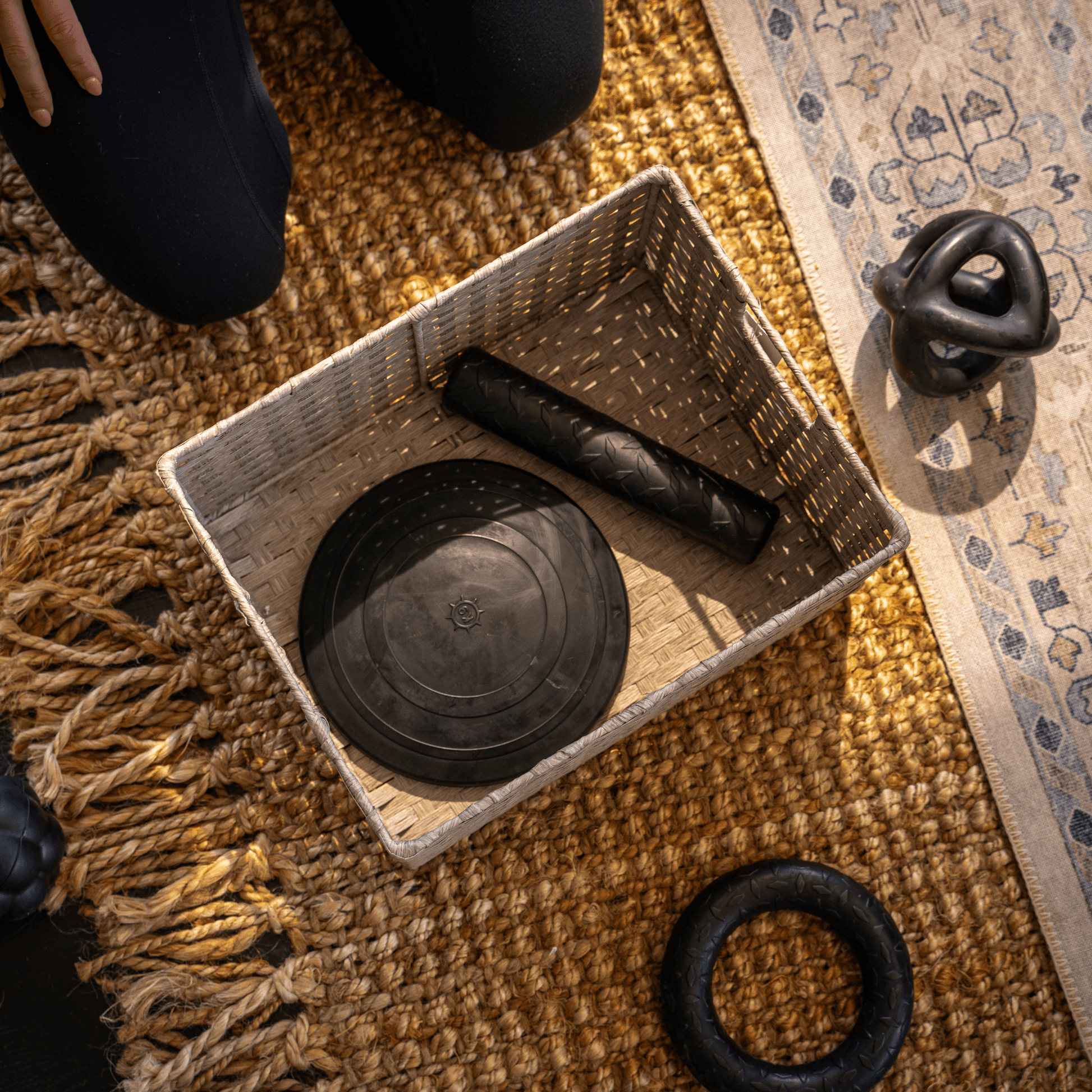 Aero Disc Monster K9 Dog Toys