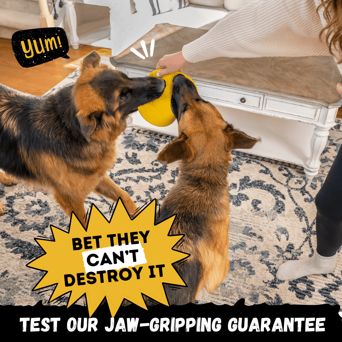 Air Disc Monster K9 Dog Toys