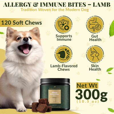Allergy & Immune Bites for Dogs – Colostrum, Probiotics & Omega-3 – Seasonal Allergy & Itchy Skin Relief – Peanut Butter Flavor Supplements Barrow & Hound
