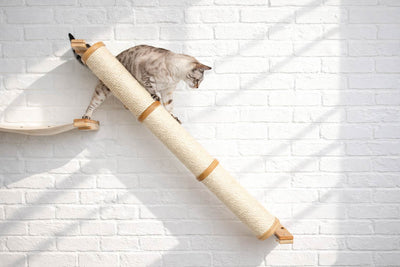 Slanted Cat Scratcher for Wall Cat Scratcher Catastrophic Creations