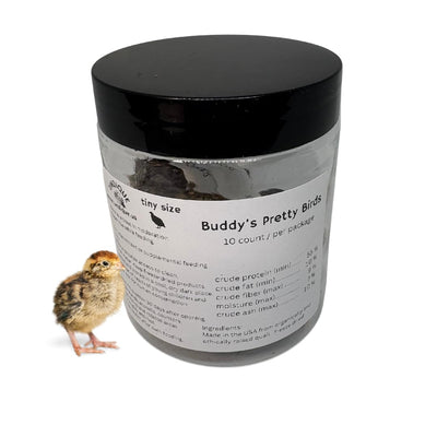 Quail Whole Chick Treats, 10 Count - Tiny, dehydrated Small Premium cat and Dog Treat Default Title Quailz.com by Undique LLC