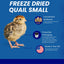 Whole Quail for Carnivore Pets - Premium Quality Natural Pet Treats Quail - Natural Prey Feeding Quail - Freeze-Dried for Essential Nutrients and Enzymes Small Size 5 Count Quailz.com by Undique LLC