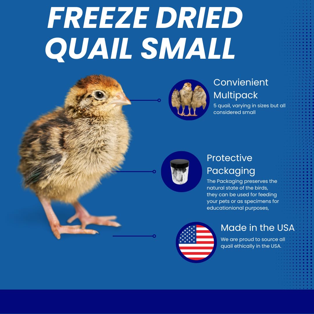 Whole Quail for Carnivore Pets - Premium Quality Natural Pet Treats Quail - Natural Prey Feeding Quail - Freeze-Dried for Essential Nutrients and Enzymes Small Size 5 Count Quailz.com by Undique LLC