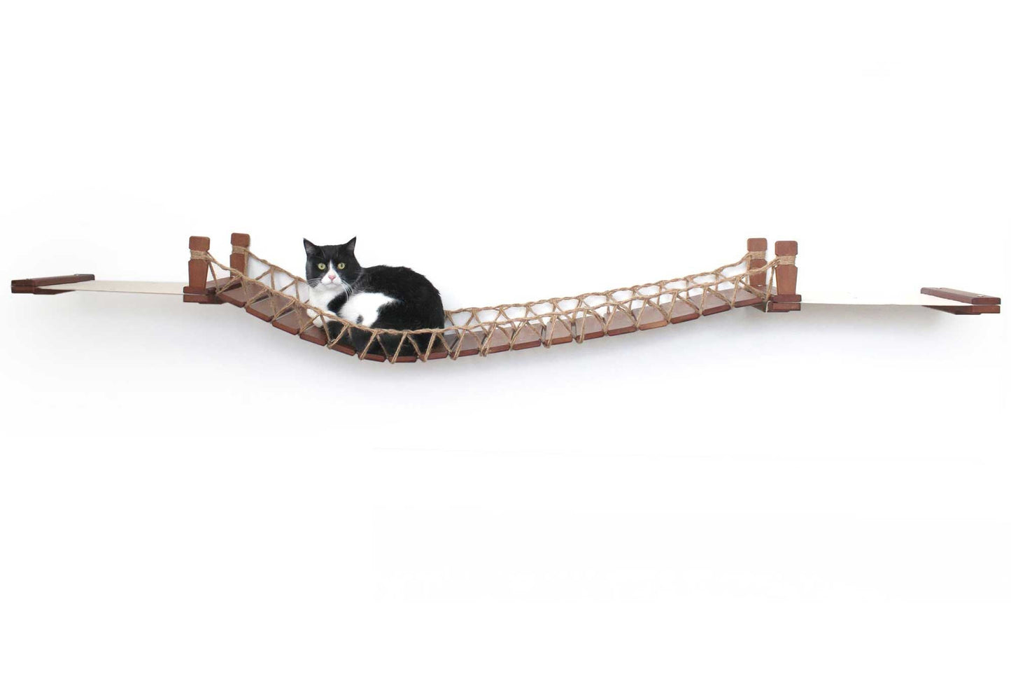 Double Cat Hammock and Climbing Bridge Combo Cat Bridge Catastrophic Creations