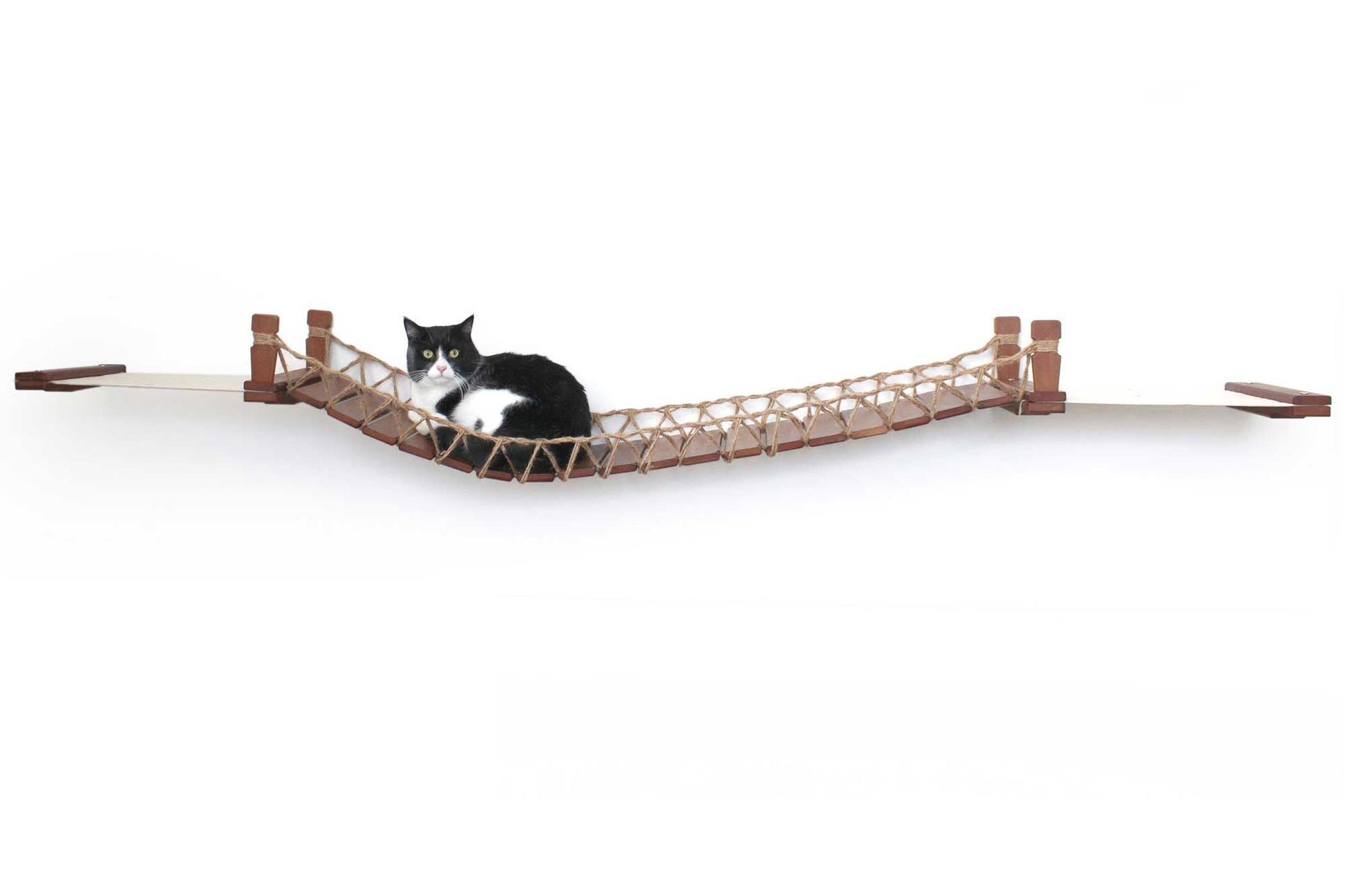 Double Cat Hammock and Climbing Bridge Combo Cat Bridge Catastrophic Creations