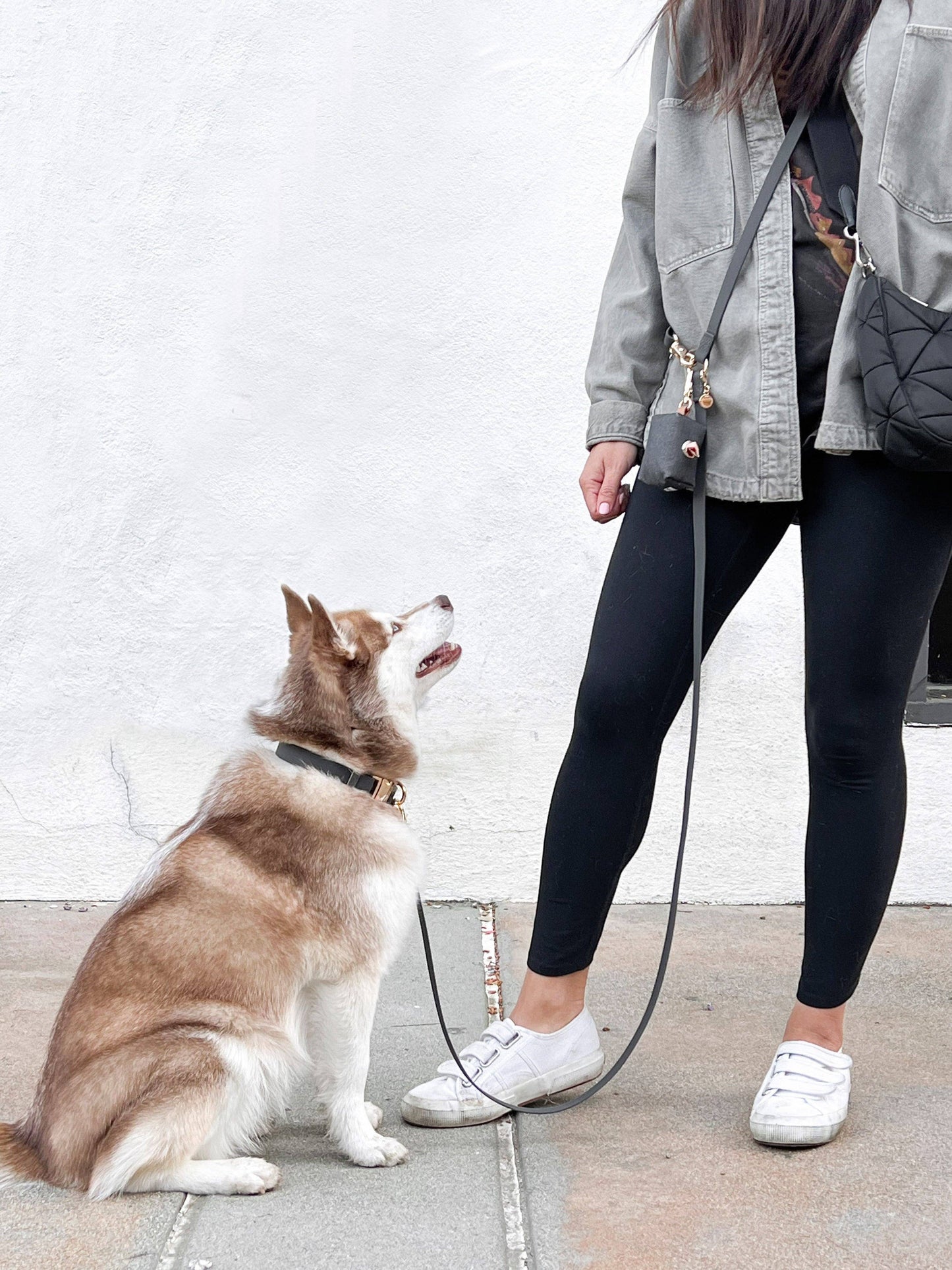 Black Waste Bag Holder Pet Waste Bag Dispenser SUNNY TAILS