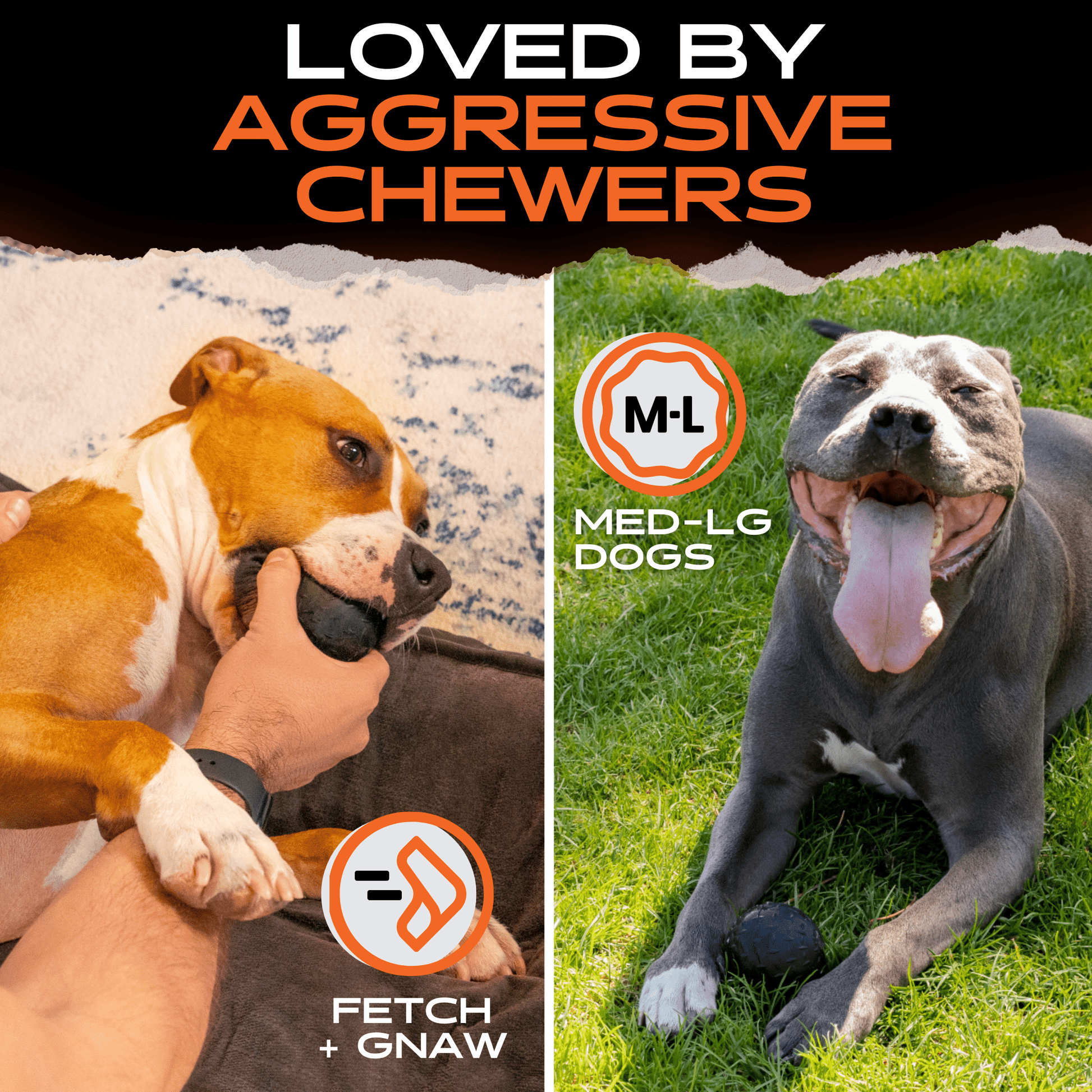 Beast Ball Monster K9 Dog Toys