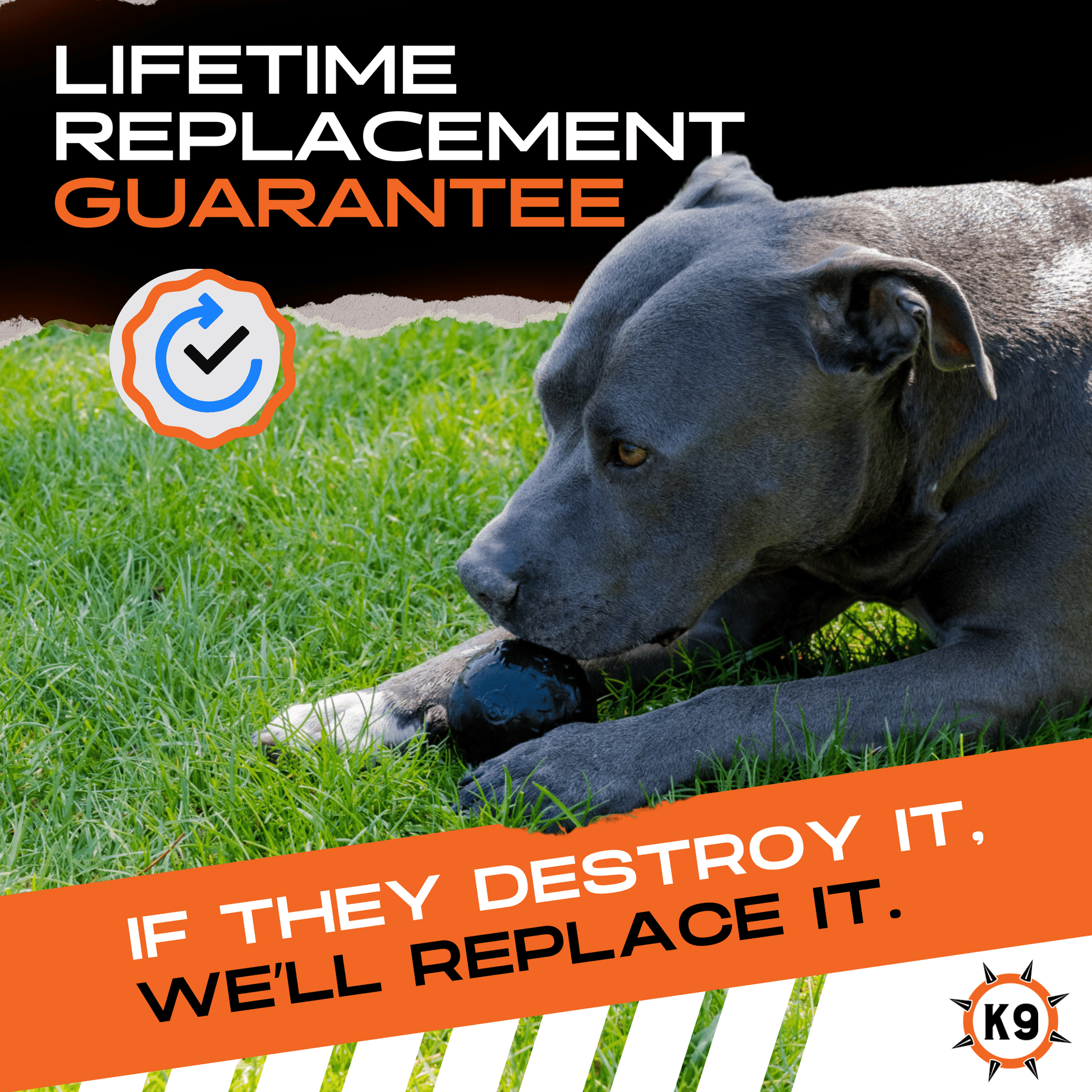 Beast Ball Monster K9 Dog Toys