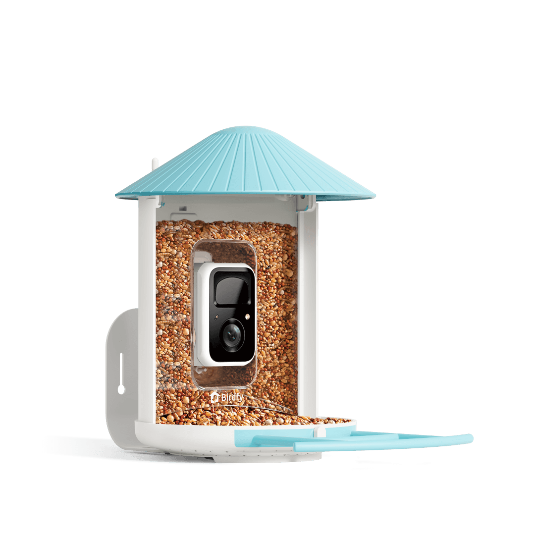 Birdfy Feeder - AI-Powered Smart Bird Feeder with Camera Birdfy Feeder Birdfy