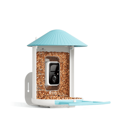 Birdfy Feeder - AI-Powered Smart Bird Feeder with Camera Birdfy Feeder Birdfy