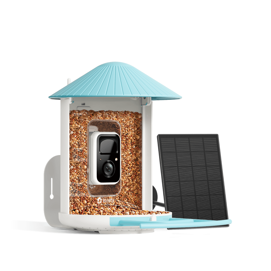 Birdfy Feeder with Solar Panel - Solar-Powered Smart Bird Feeder with Camera Bundle Birdfy