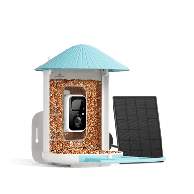 Birdfy Feeder with Solar Panel - Solar-Powered Smart Bird Feeder with Camera Bundle Birdfy