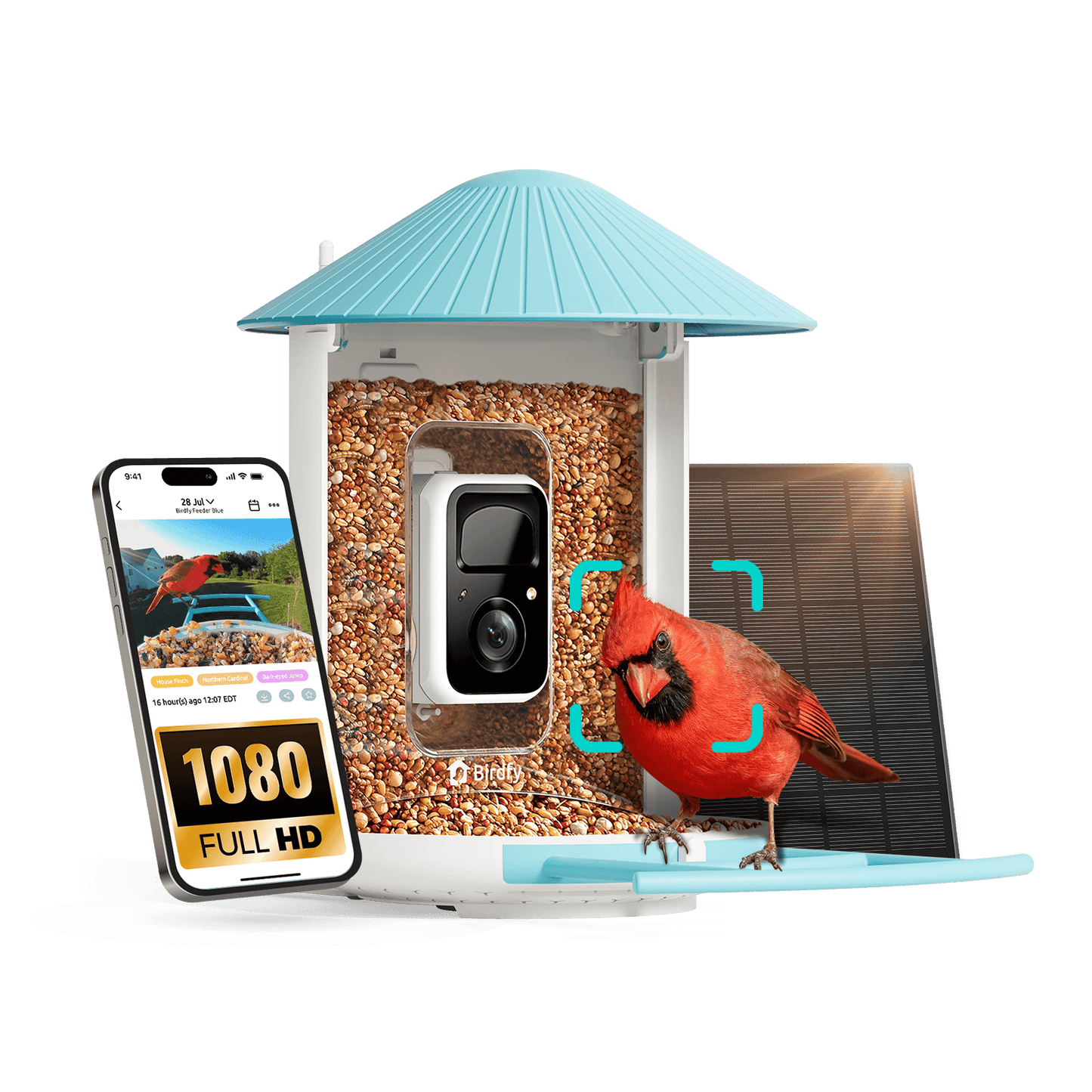Birdfy Feeder with Solar Panel - Solar-Powered Smart Bird Feeder with Camera Blue AI Lifetime Free Bundle Birdfy
