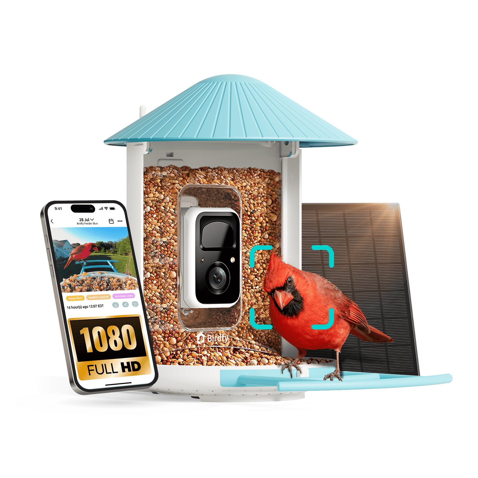 Birdfy Feeder with Solar Panel - Solar-Powered Smart Bird Feeder with Camera Blue AI Lifetime Free Bundle Birdfy