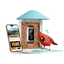 Birdfy Feeder - AI-Powered Smart Bird Feeder with Camera Non-Solar AI Lifetime Free Birdfy Feeder Birdfy